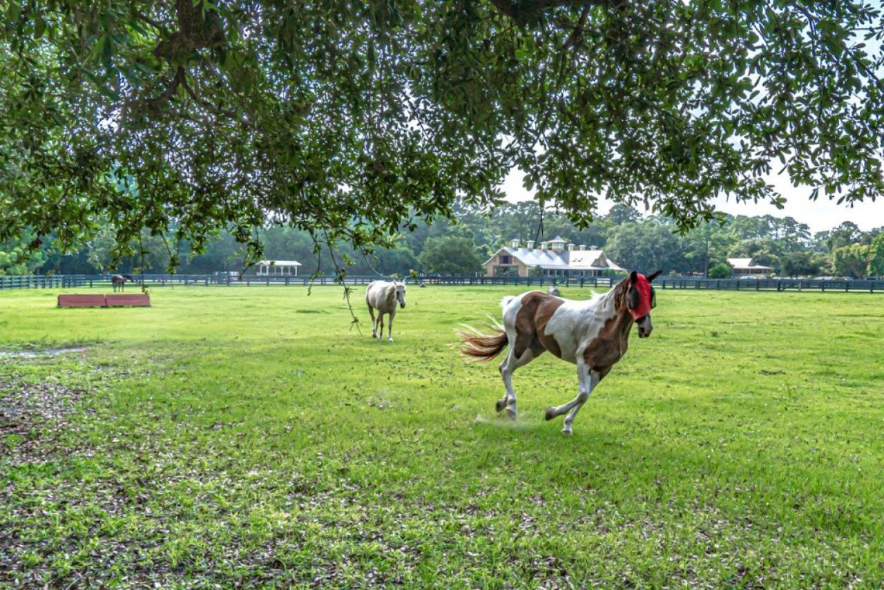 Pet Friendly! 503 Plantation Club Walk To Pool Sleeps 6 Sea Pines Villa Hilton Head Island Exterior photo